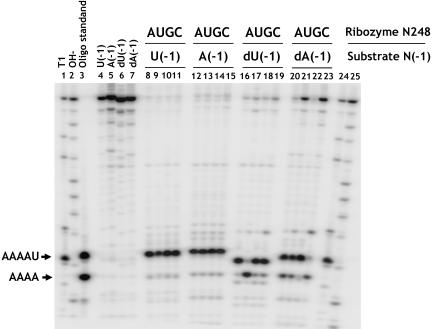 FIGURE 4.