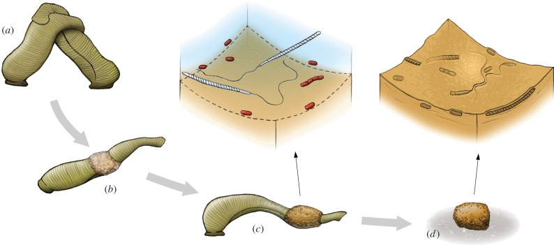 Figure 2.