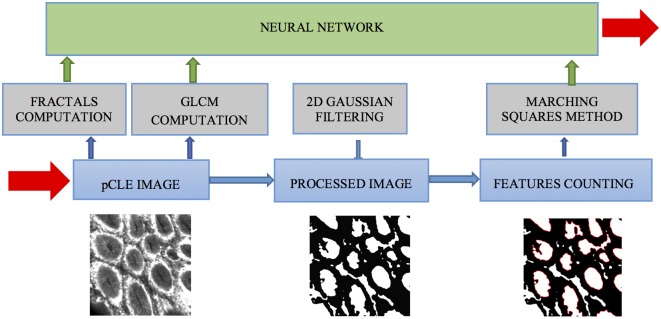 Fig 1