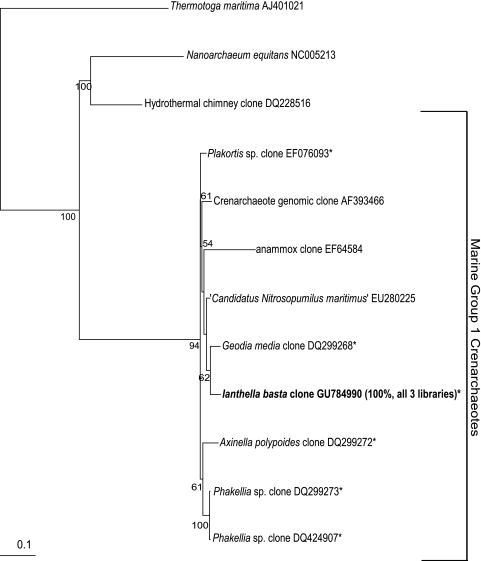 FIG. 7.