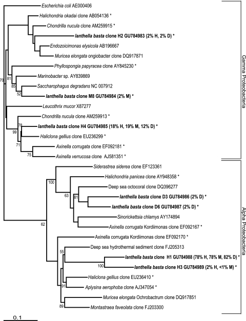 FIG. 5.