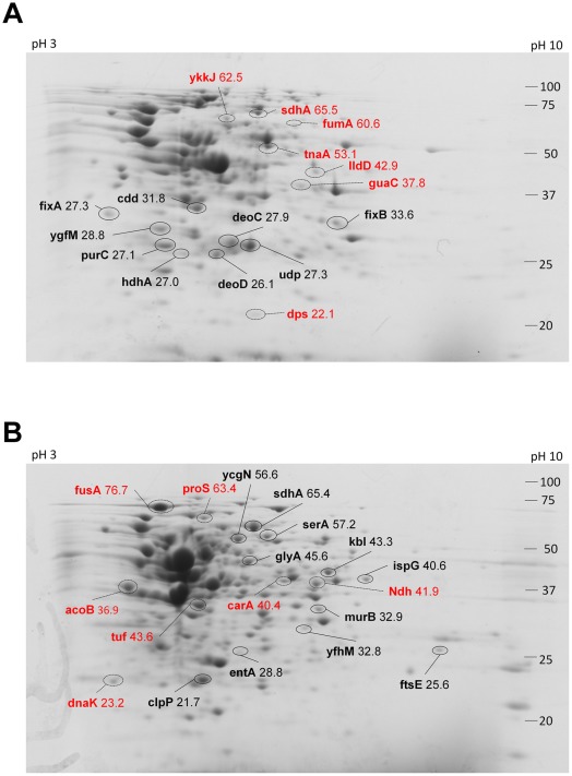 Figure 10