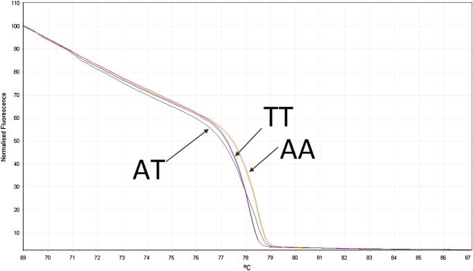 Fig. 3