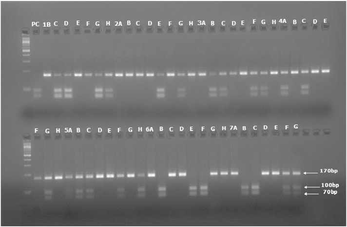 Fig. 4