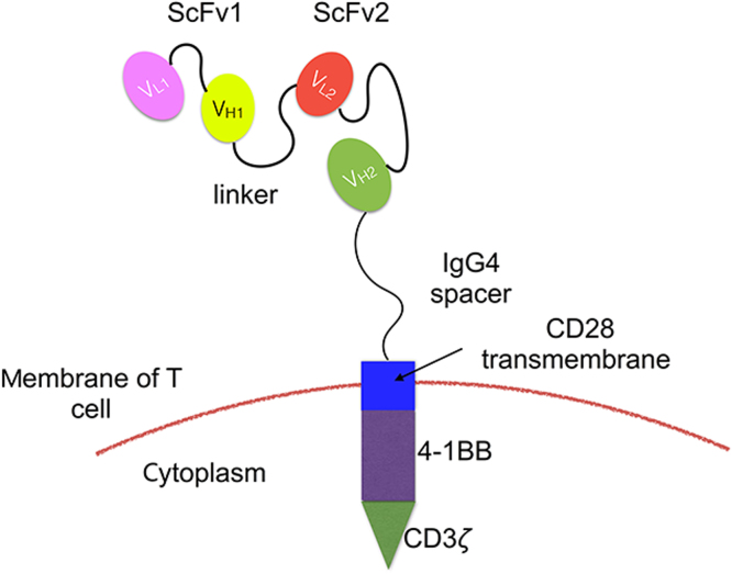 Fig. 3