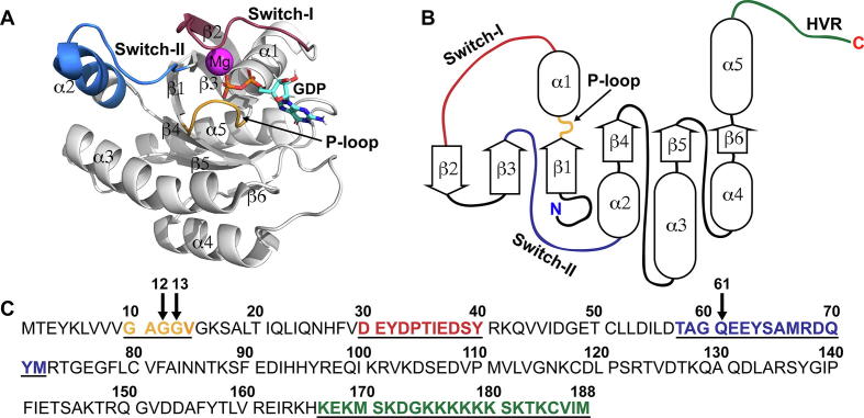 Fig. 1