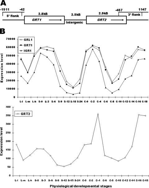 FIG. 3.