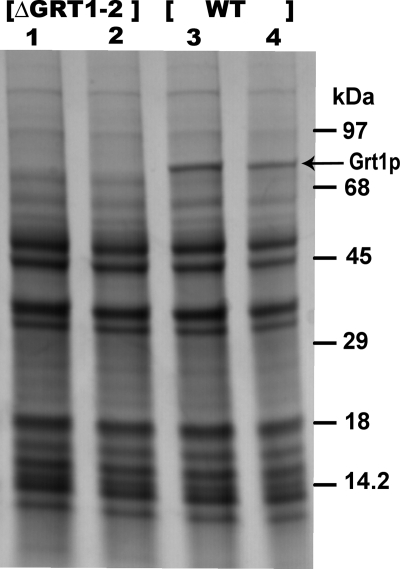 FIG. 8.