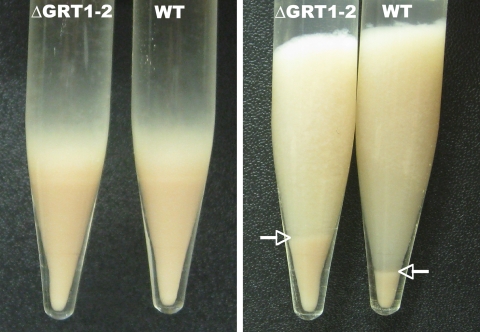 FIG. 7.