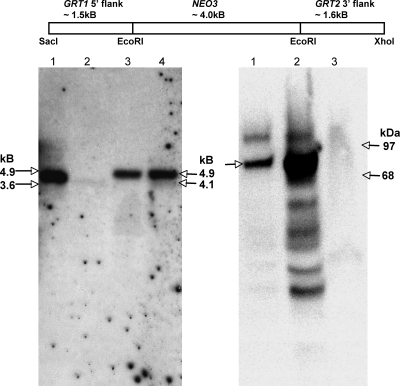 FIG. 4.