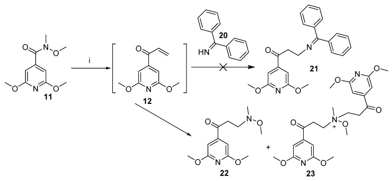 Scheme 6
