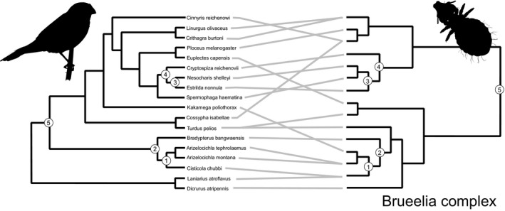 FIGURE 4