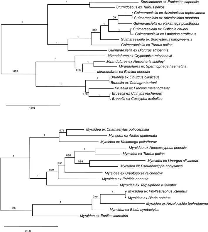 FIGURE 2