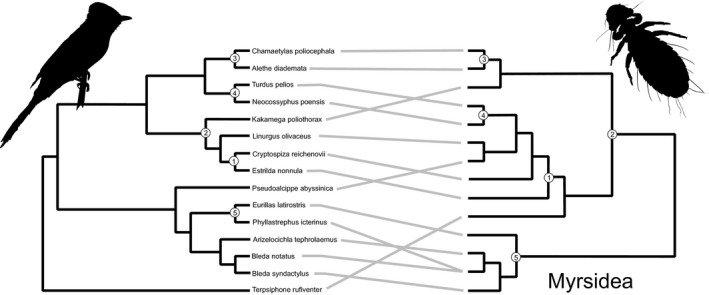 FIGURE 3