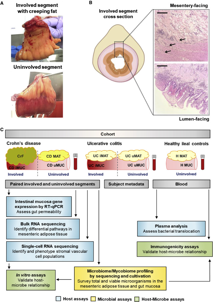 Figure 1