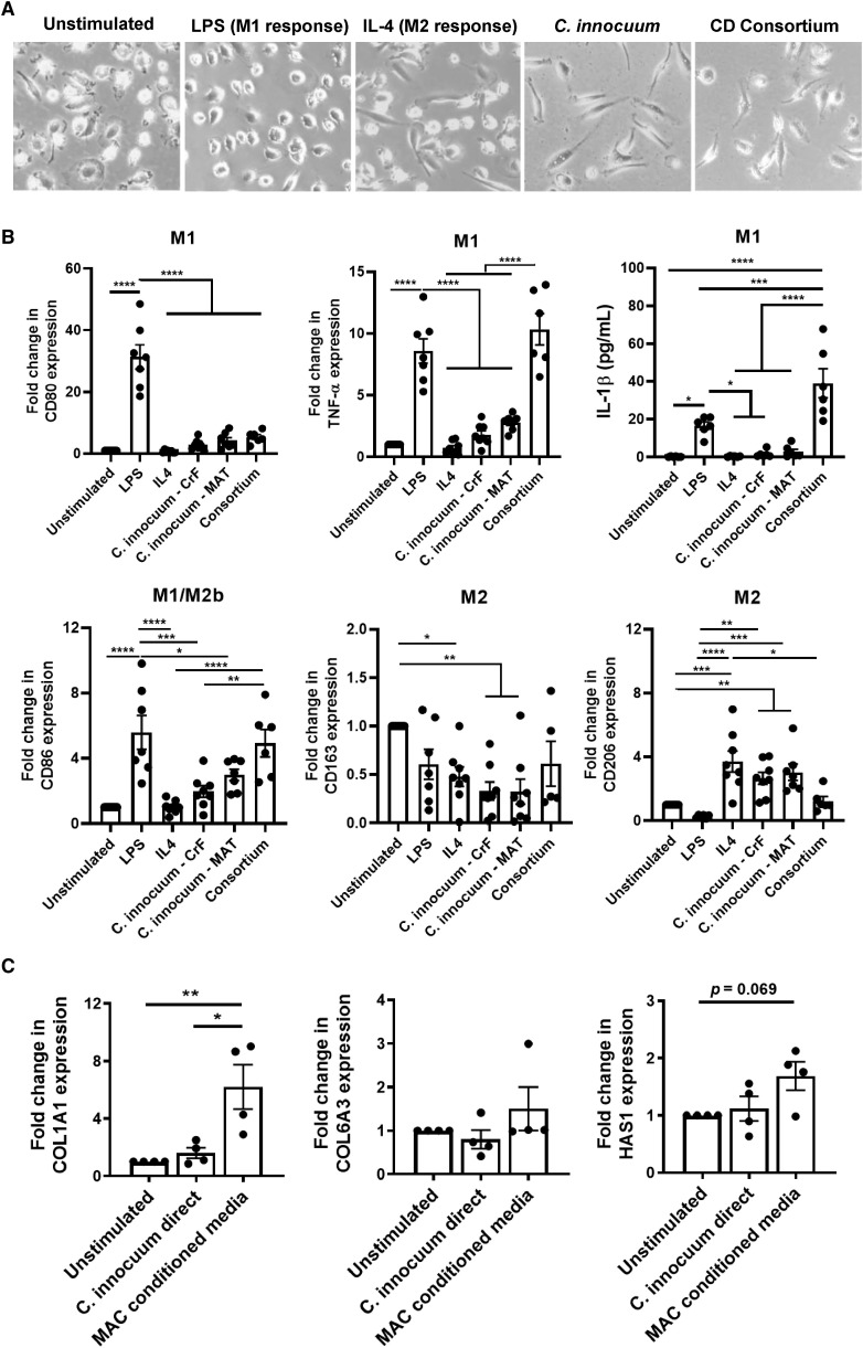 Figure 7