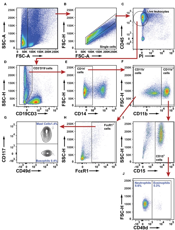 Figure 11