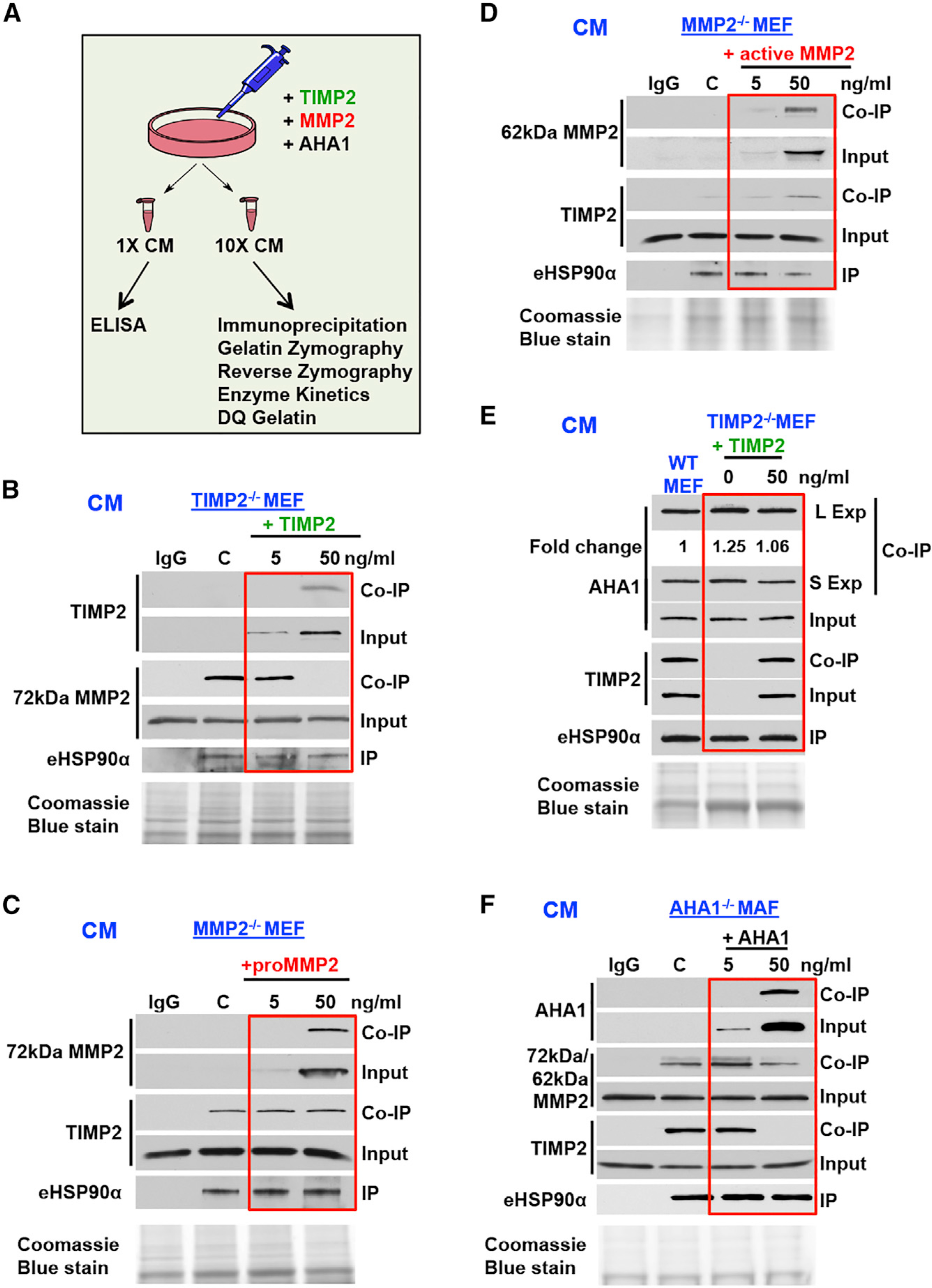 Figure 6.