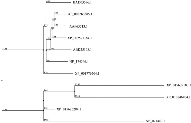 Figure 4.