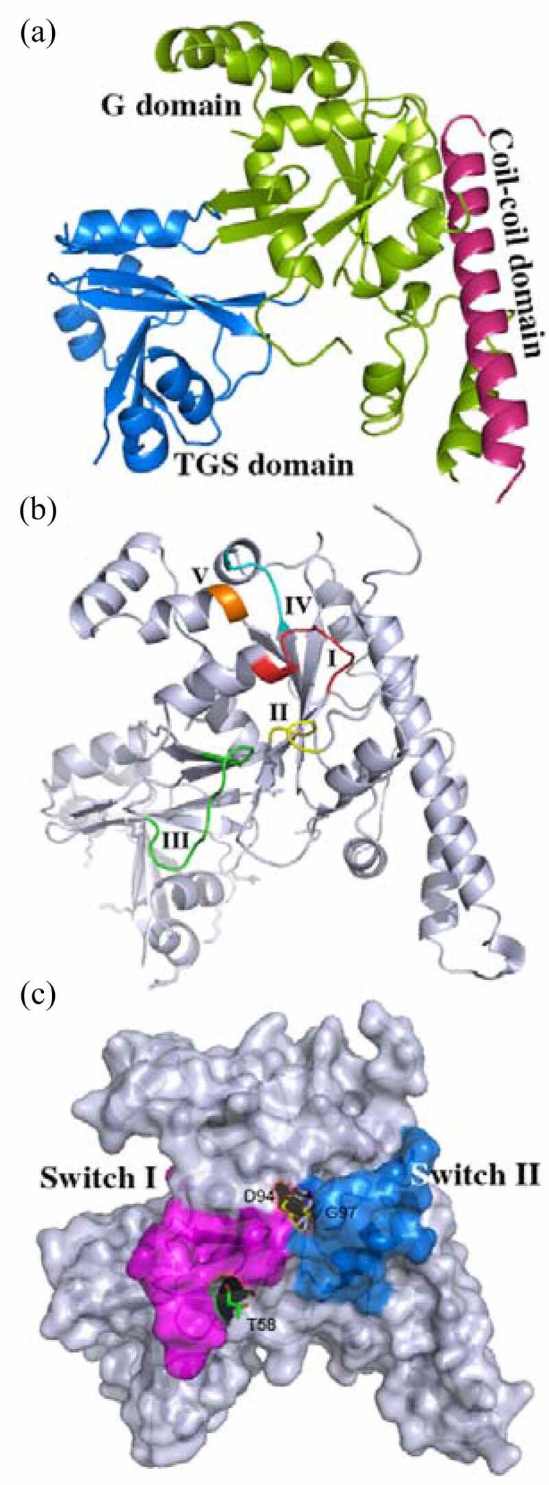 Figure 1.