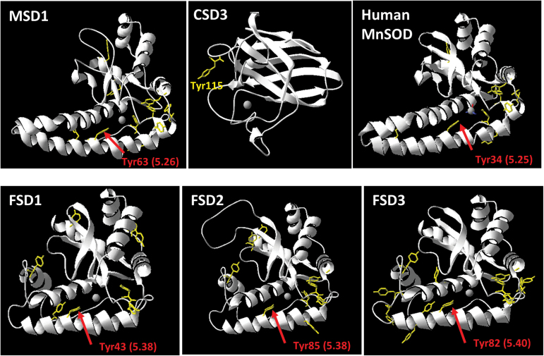 Fig. 9.