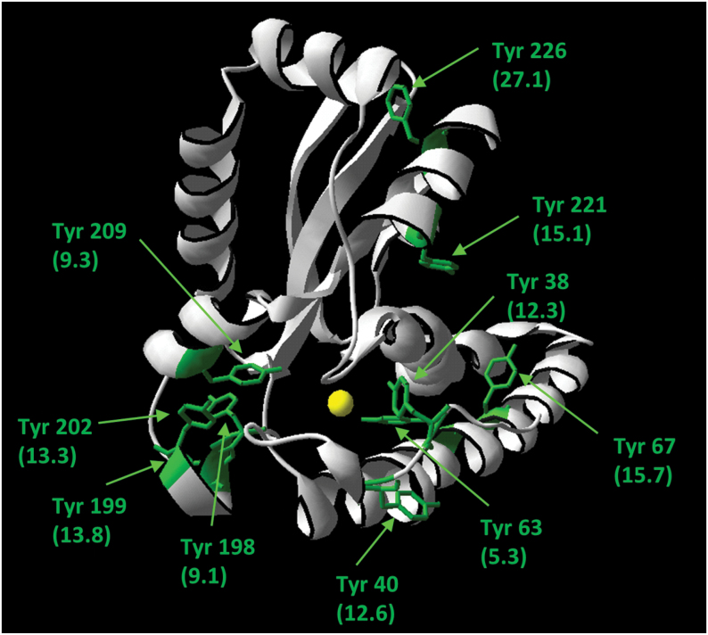 Fig. 6.