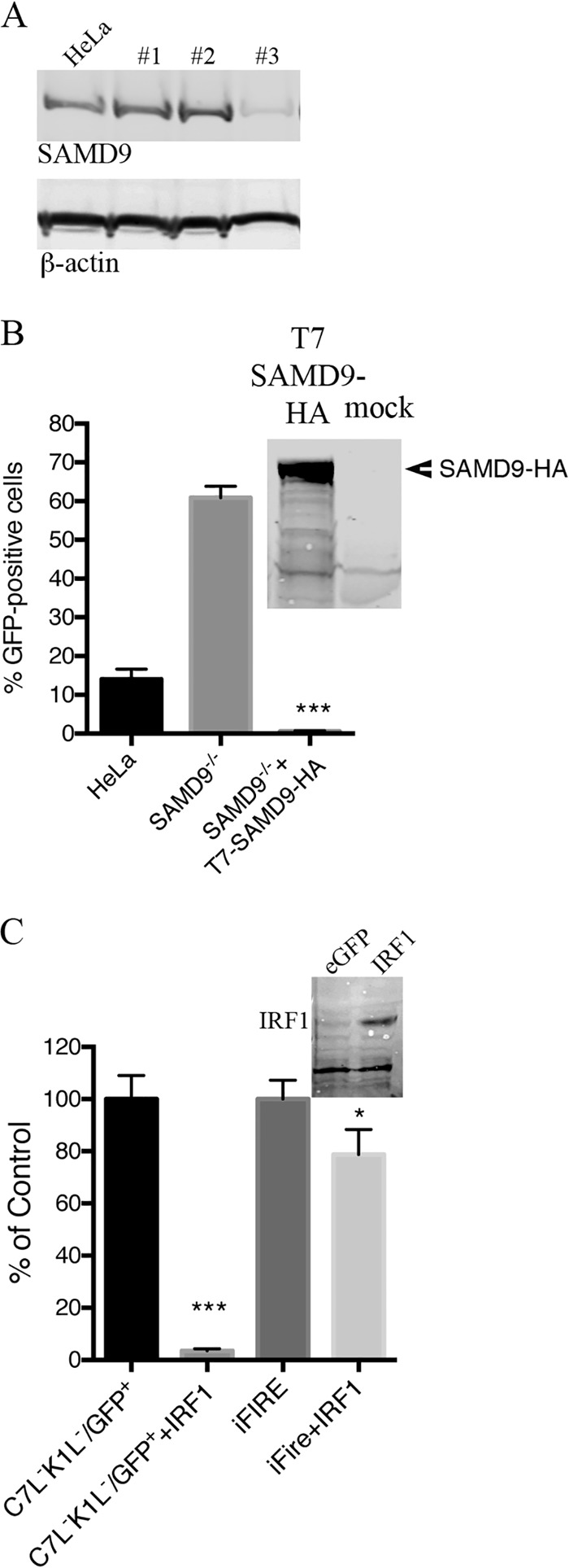 FIG 5 