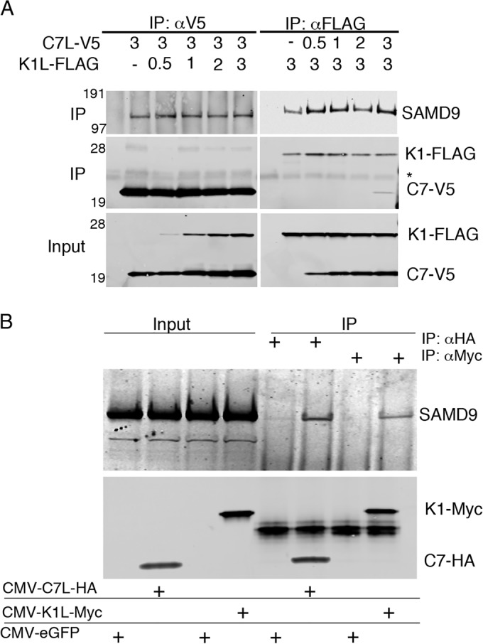 FIG 4 