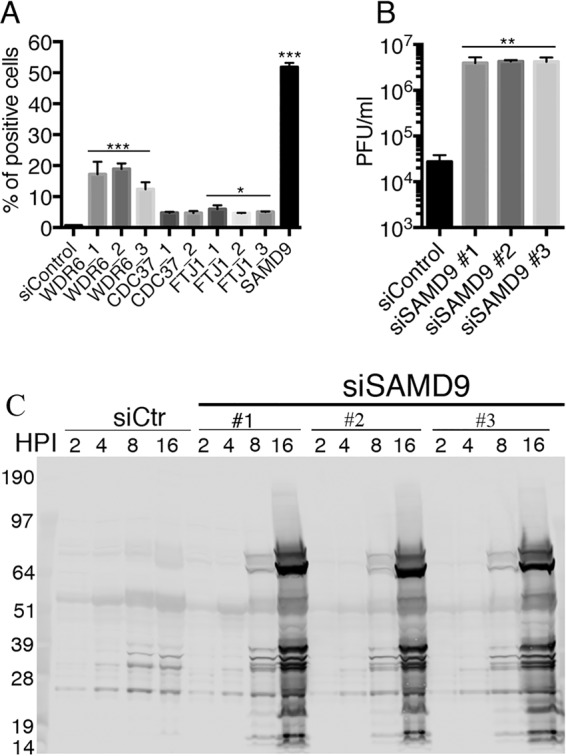 FIG 2 