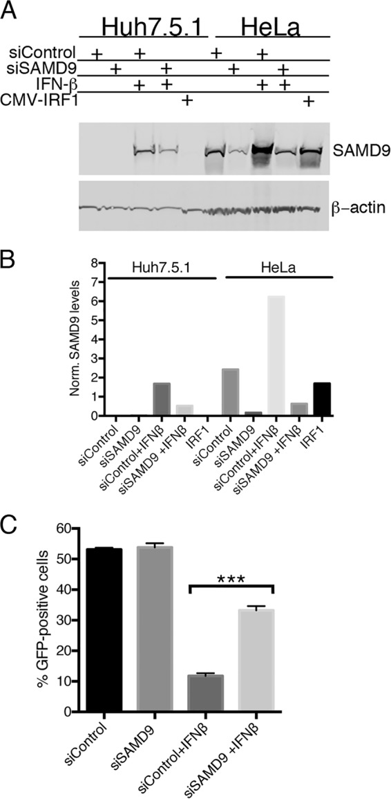 FIG 6 