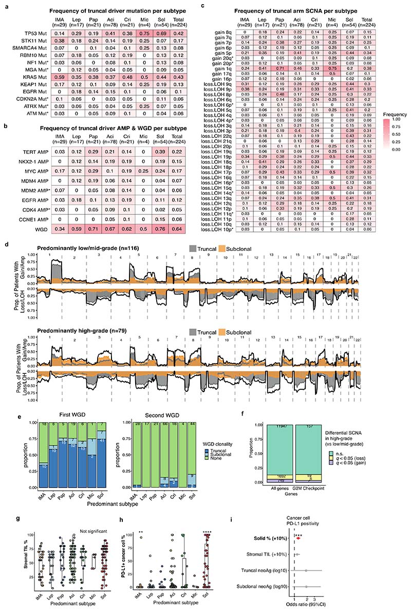 Extended Data Fig. 2 |