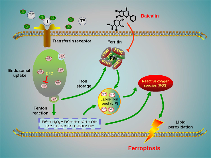 Figure 6