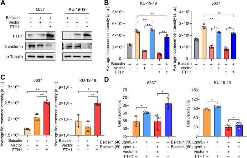 Figure 4