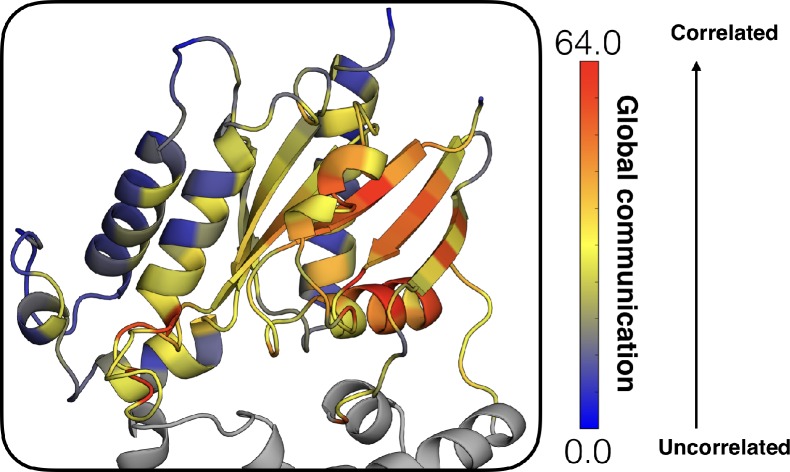 Figure 8—figure supplement 1.