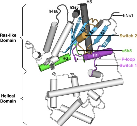 Figure 1.