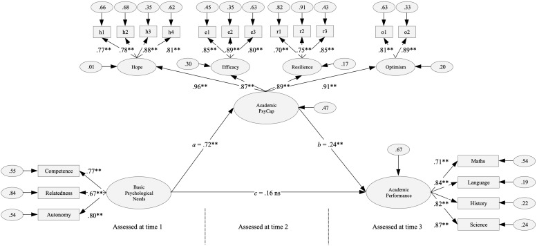 FIGURE 1