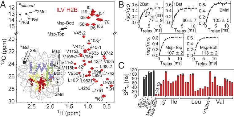 Fig. 7.