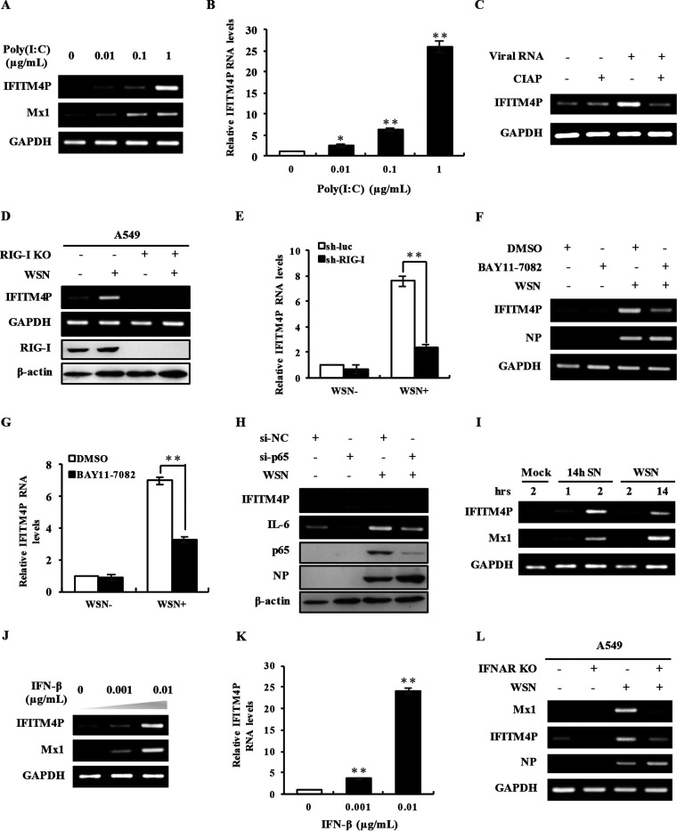 FIG 3