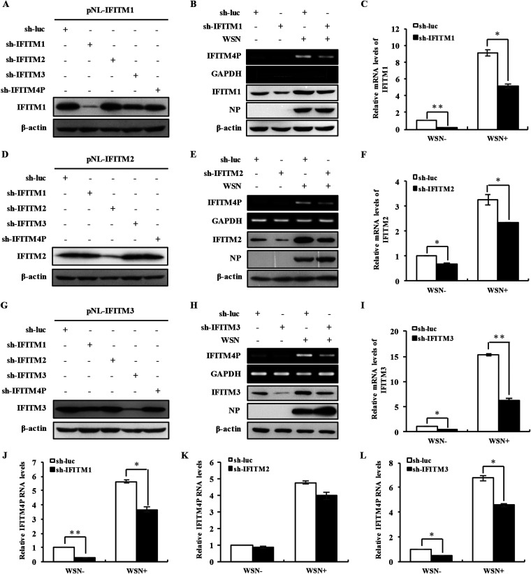 FIG 6