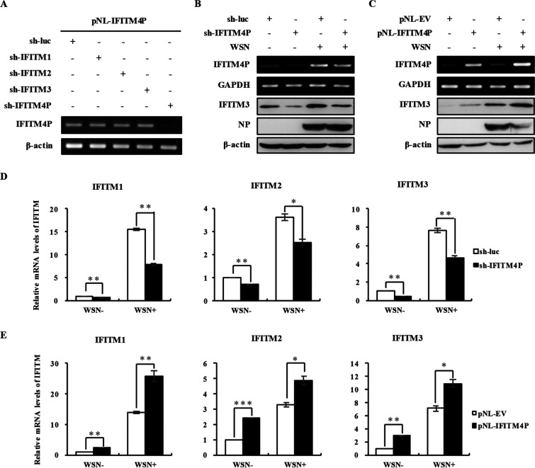 FIG 4