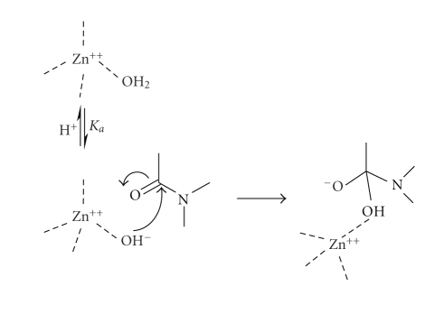 Scheme 4