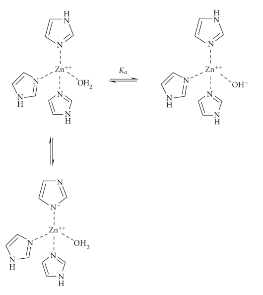 Scheme 7