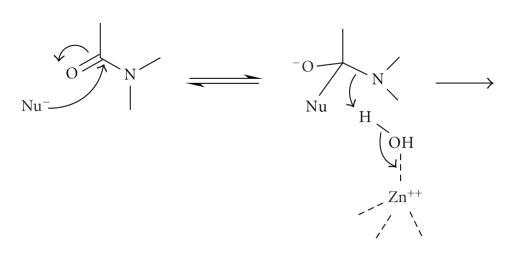 Scheme 6