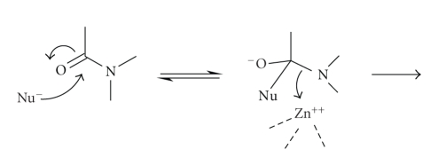 Scheme 5