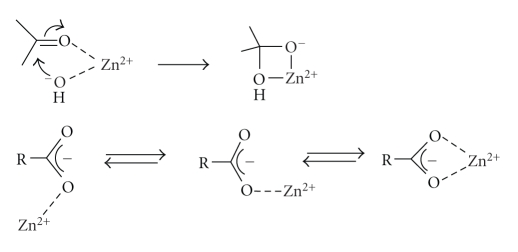 Scheme 8