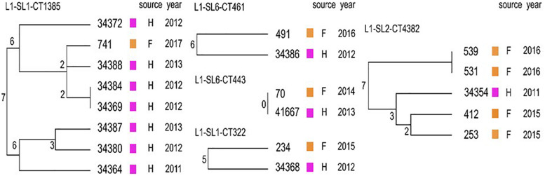 FIGURE 5