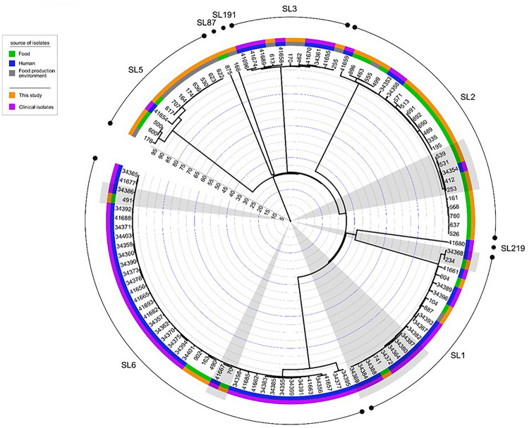 FIGURE 4