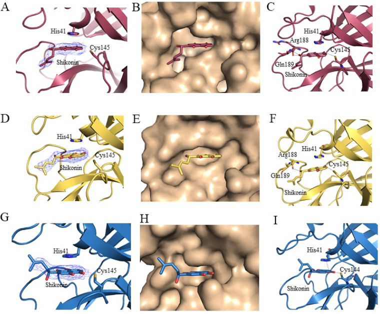 FIG 5