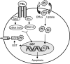 Fig. 6.