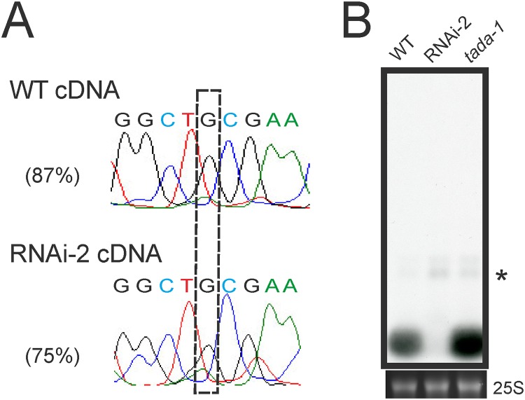 Fig 8